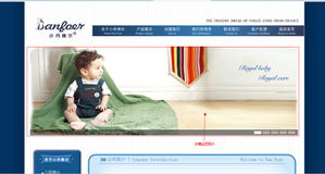 關(guān)于市場(chǎng)出現(xiàn)仿冒小丹佛爾產(chǎn)品及網(wǎng)站制作的嚴(yán)正聲明